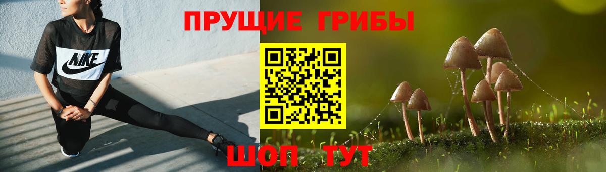 Галлюциногенные грибы GOLDEN TEACHER  Вход с VPN  Ярославль 